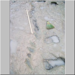 100_0609 (2009-27-07)m.JPG